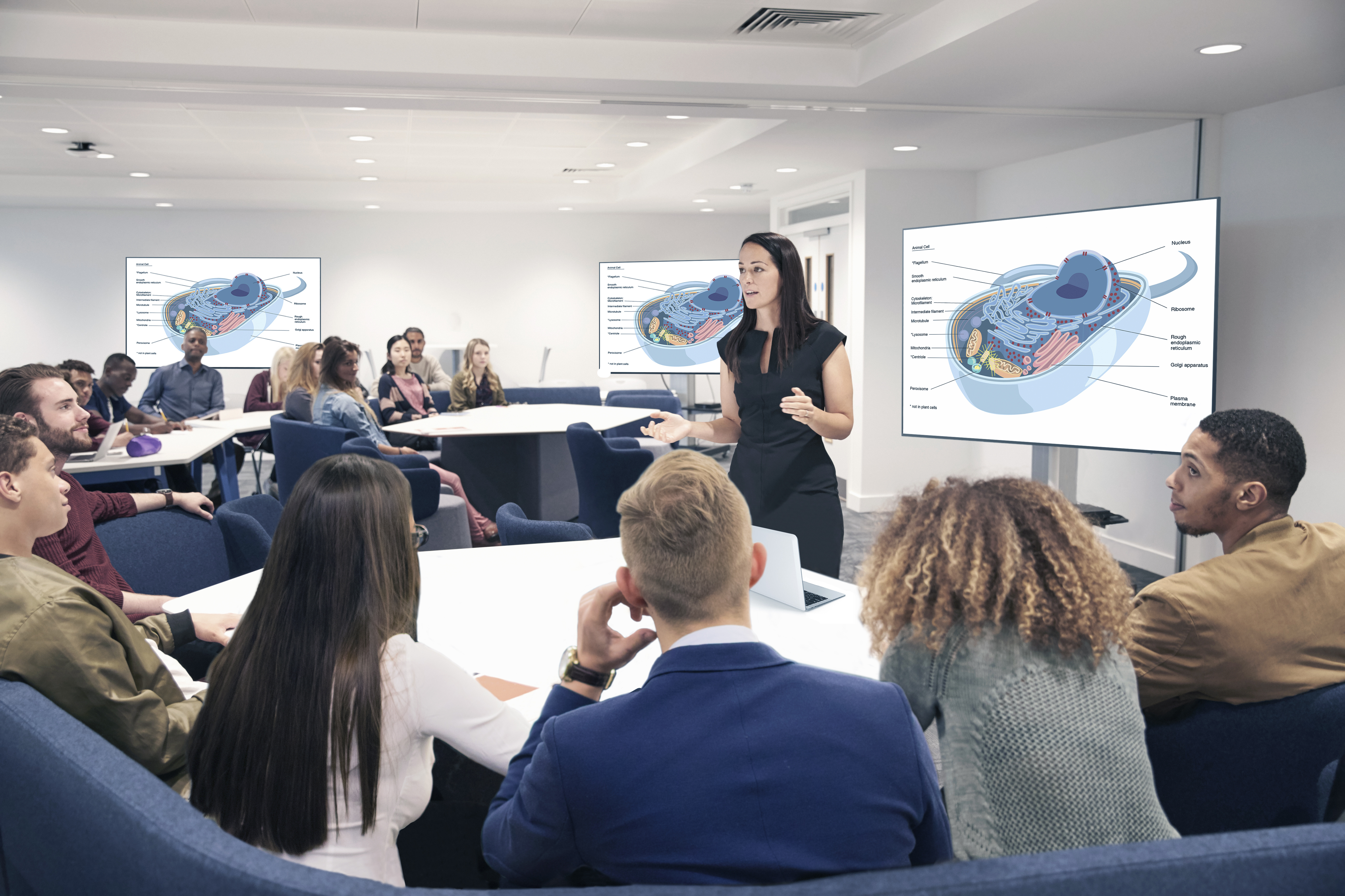 viewsonic-product-3b